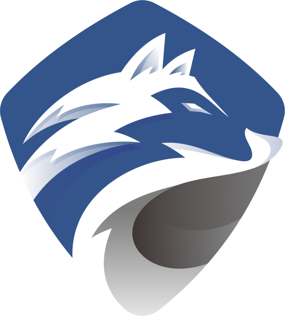 Gemini Security Team - Logo